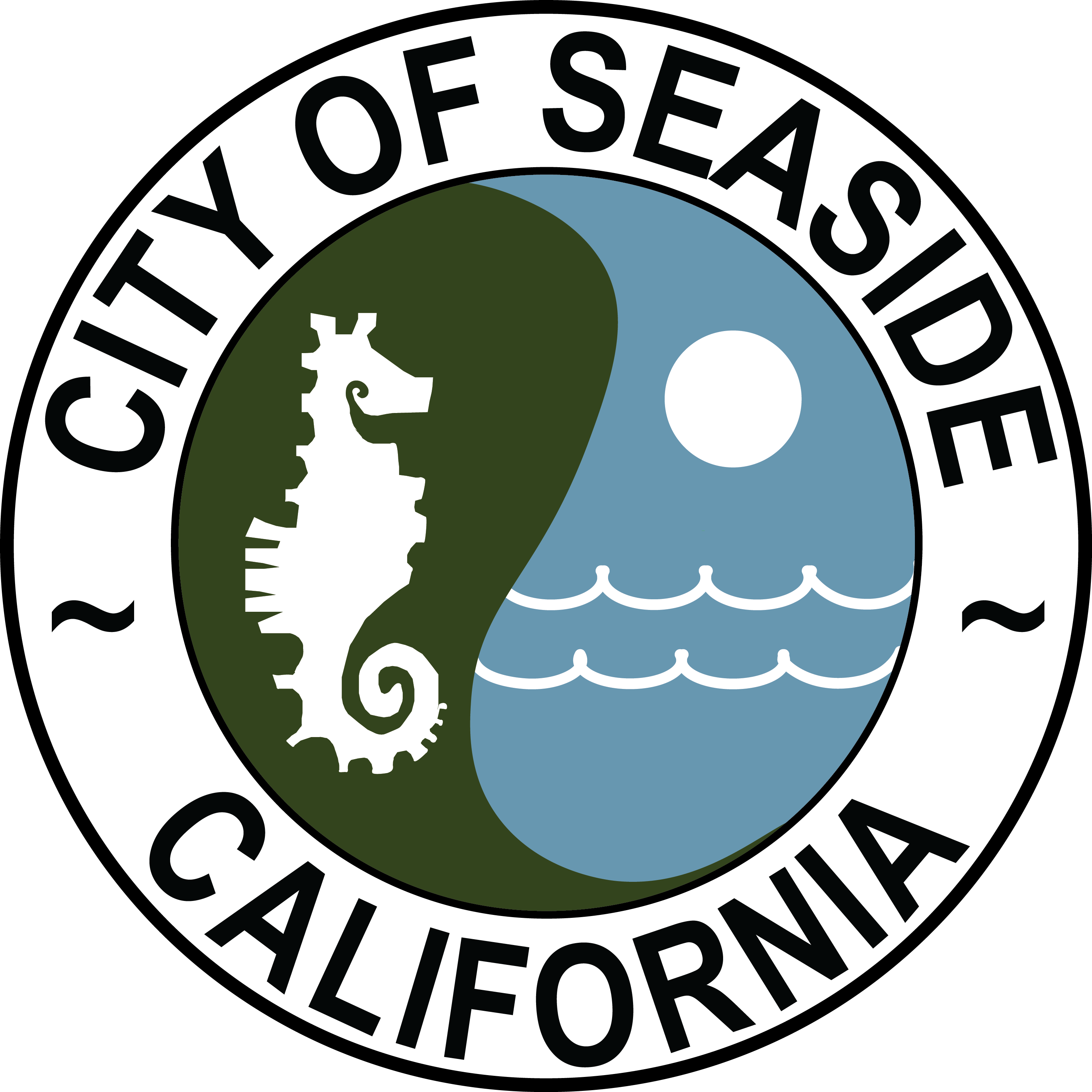 Read more about the article City of Seaside COVID-19 Emergency Micro Loan Program